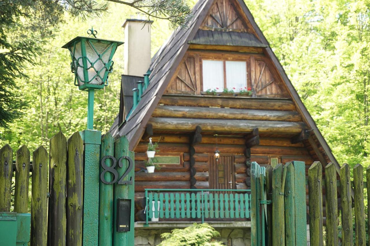 Kosarzowka Villa Bielsko-Biala Exterior foto