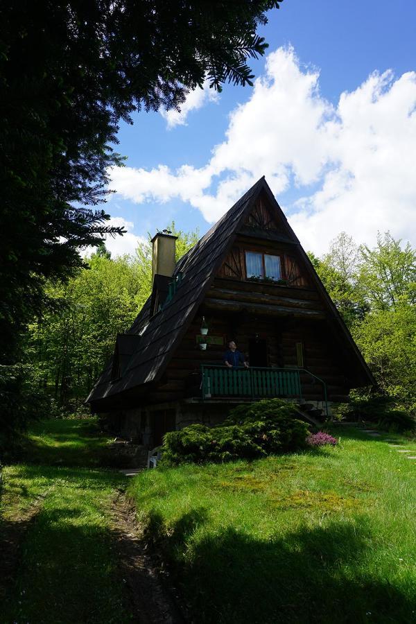 Kosarzowka Villa Bielsko-Biala Exterior foto