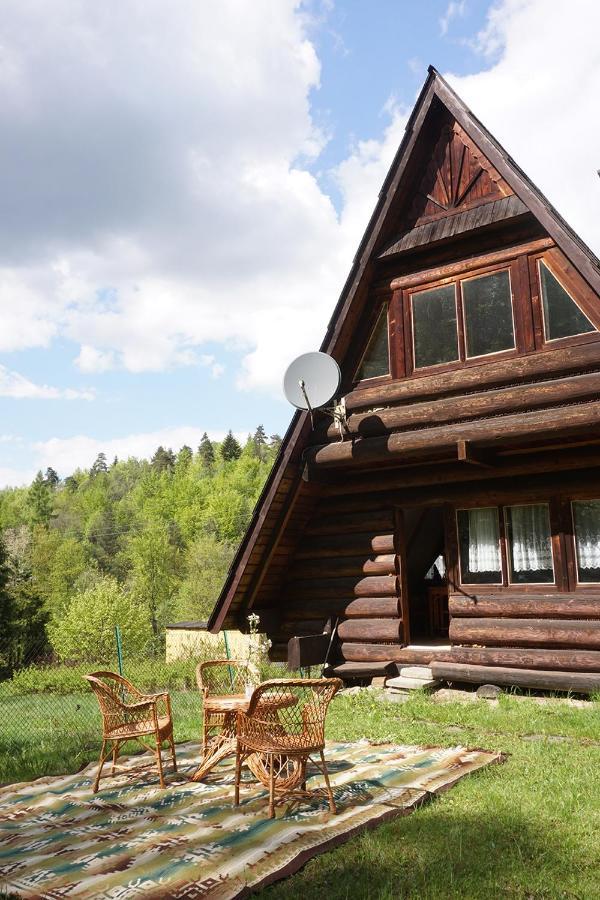 Kosarzowka Villa Bielsko-Biala Exterior foto
