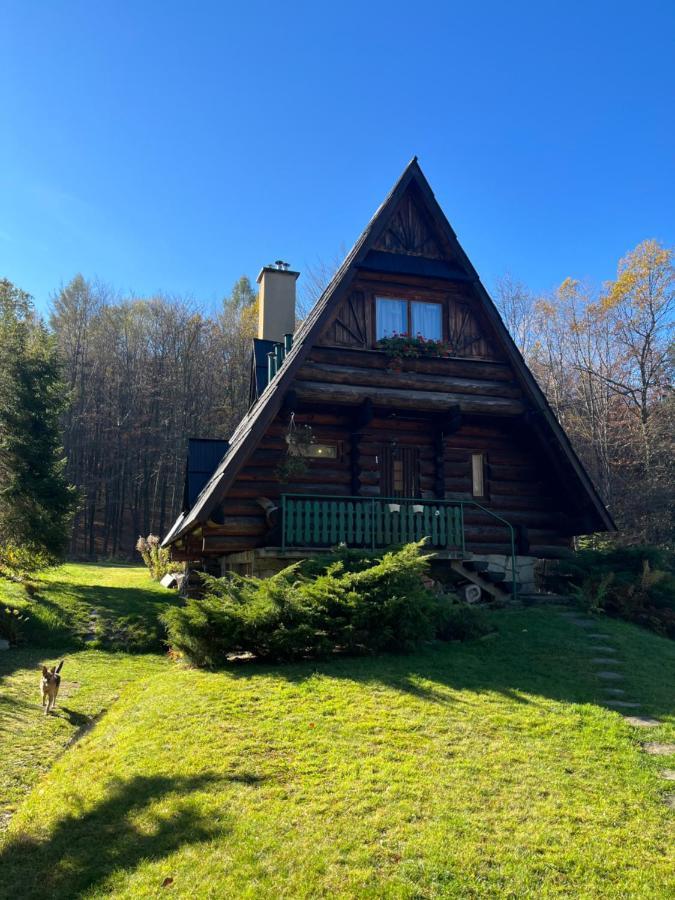 Kosarzowka Villa Bielsko-Biala Exterior foto