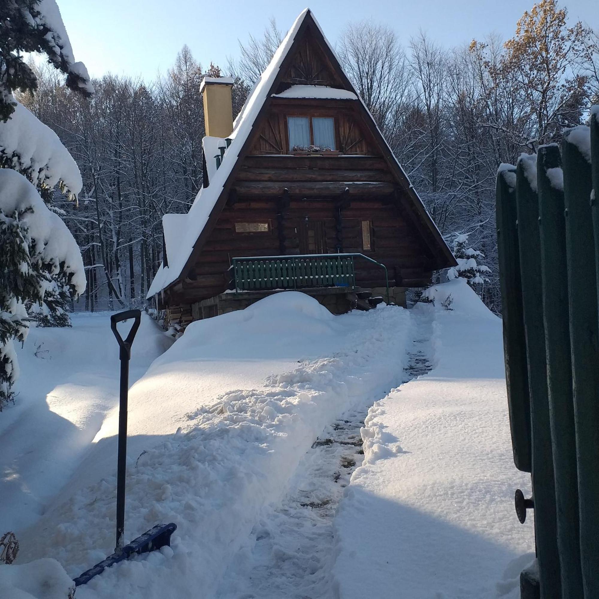 Kosarzowka Villa Bielsko-Biala Exterior foto